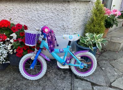 12inch Kids Frozen-themed bicycle