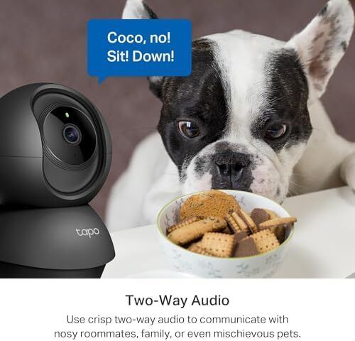 anTilt Indoor Camera House Security Camera, WiFi Camera, No Monthly Fee, AI Detection, Dog Camera, Baby Camera Monitor, CCTV, 360 View, Night Vision, Works with Alexa & Google