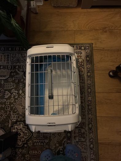 cat carrier