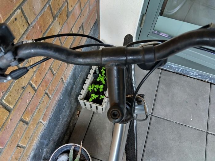 Apollo bike