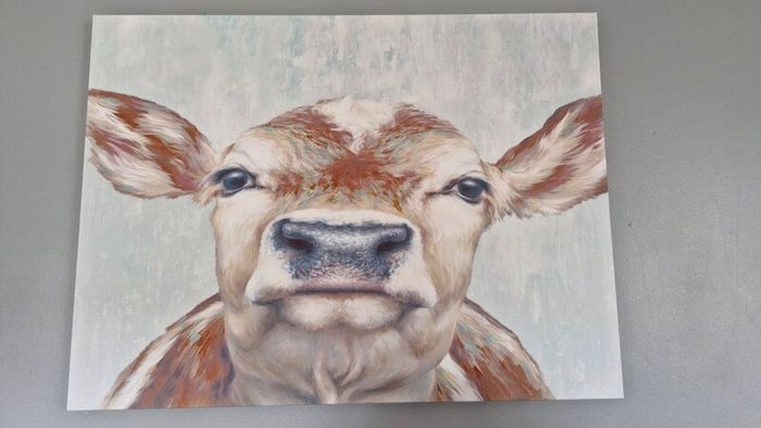 Cow Canvas Picture