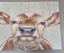 Cow Canvas Picture