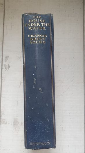 Vintage Book: The House Under the Water by Francis Brett Young 1932