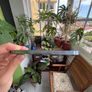 iPhone 13 Pro 100% Battery Image 3