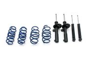 SKODA Fabia RS / VRS  1.9 TDI from 2000 - .... AP High Quality Lowering Kit 30mm (Made in Germany)