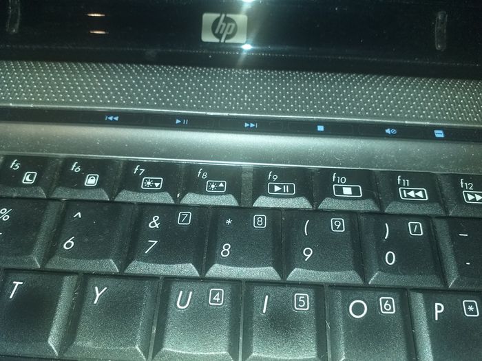 HP Pavilion laptop - vintage model