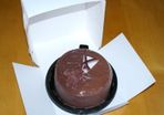 Lot of 10 Cake Boxes bakery birthday eco friendly New SIZE 10 x 10 x 4'' / 25 x 25 x 10 cm
