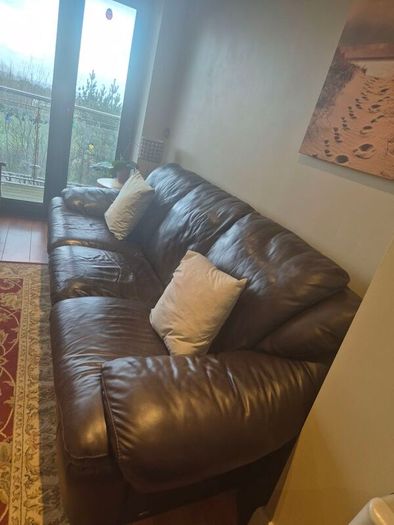 Brown leather couch