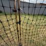 chicken fencing Image 7