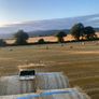 Straw Image 2