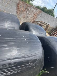 Good Quality straw & hay for sale.