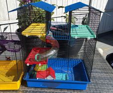 Hamster cage