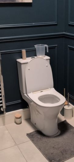 Toilet & 2 sinks