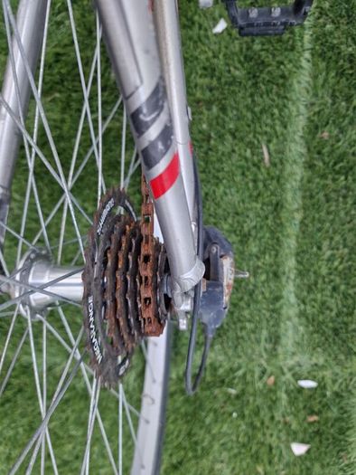 Trek Mountain Bike