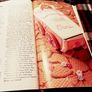 1985. The Quinnsworth Book Of Cake Icing And Decorating. Image 4