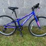 Carrera Saruna 24" Image 2