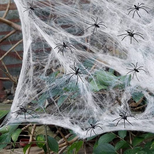Halloween Spider Web Decoration, 100g Stretchable Cobwebs with 30 Realistic Fake Spiders - Perfect for Indoor/Outdoor, Garden, Garage & Haunted House Parties - Create a Chilling Atmosphere