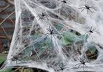 Halloween Spider Web Decoration, 100g Stretchable Cobwebs with 30 Realistic Fake Spiders - Perfect for Indoor/Outdoor, Garden, Garage & Haunted House Parties - Create a Chilling Atmosphere