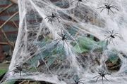 Halloween Spider Web Decoration, 100g Stretchable Cobwebs with 30 Realistic Fake Spiders - Perfect for Indoor/Outdoor, Garden, Garage &amp; Haunted House Parties - Create a Chilling Atmosphere