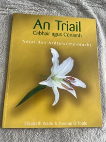 An triail