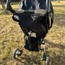 Buggy Image 4