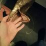All items reduced! Boohoo gold sequin mini Image 3
