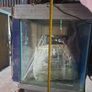 large Fish Tank Image 4