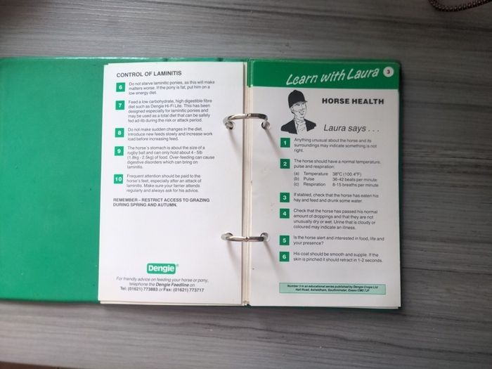 Equestrian info - Learn with Laura