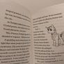 My Little Pony story books Image 8