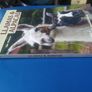 Llamas and Alpacas book Image 3