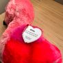 Soft toy TY flamingo BNWT Image 2