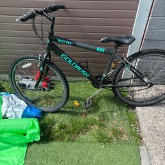 mens bike