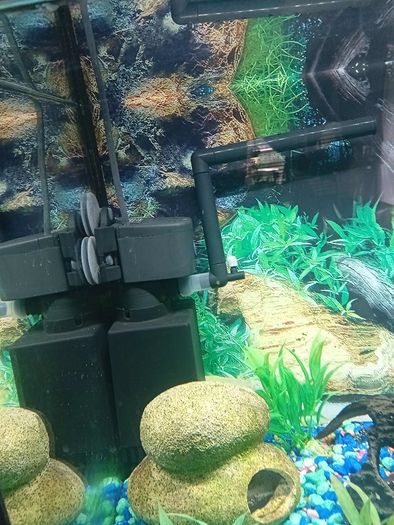 fish tank
