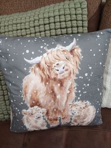 Christmas Cushion New