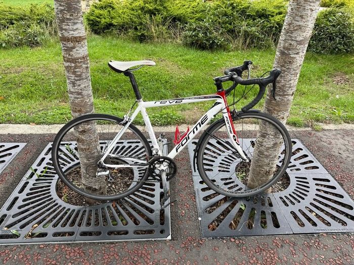 Form Reve Road Bike with Unused SKS Mudguards