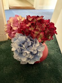 Dried Flowers