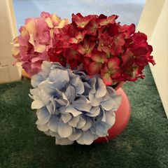 Dried Flowers