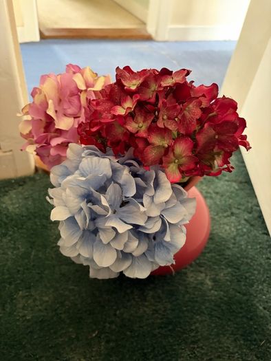 Dried Flowers