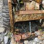 Bobcat Image 4