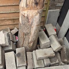 Pavement and Bricks