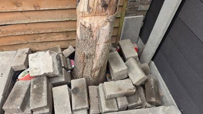 Pavement and Bricks