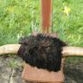 Antique Taxidermy Buffalo Horns (40") Image 8