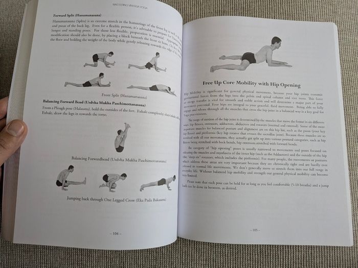 Mastering Vinyasa Yoga - Raji Thron - Yoga Sequencing & Teacher Training