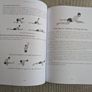 Mastering Vinyasa Yoga - Raji Thron - Yoga Sequencing & Teacher Training Image 4