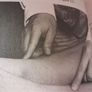 Hands On / Basic Clinical Skills for Students & Practitioners of Complementary & Alternative Medicine / Nic Rowley / 2018 Image 7