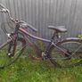 Orbea Ladies bike Image 10