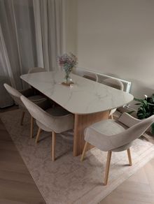 Dining Chairs  x 6 (Chairs only)