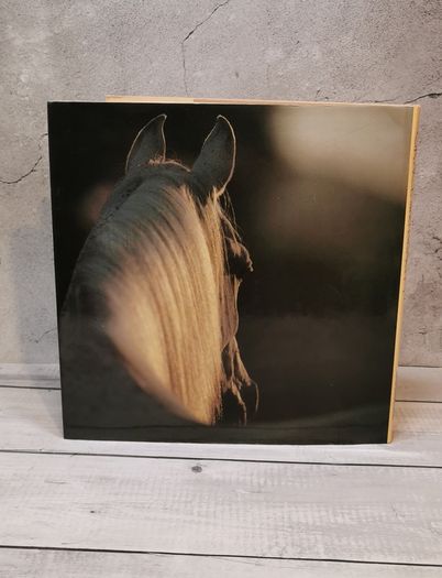 Grace And Beauty A Study Of The Horse Gabrielle Boiselle Large Hardback Book VGC