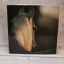 Grace And Beauty A Study Of The Horse Gabrielle Boiselle Large Hardback Book VGC Image 2