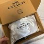 Coach Bag Image 3